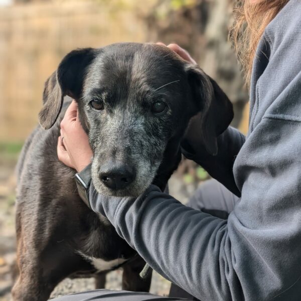 Salariée en insertion