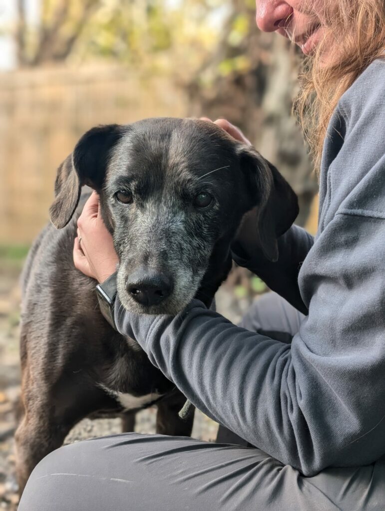 Salariée en insertion